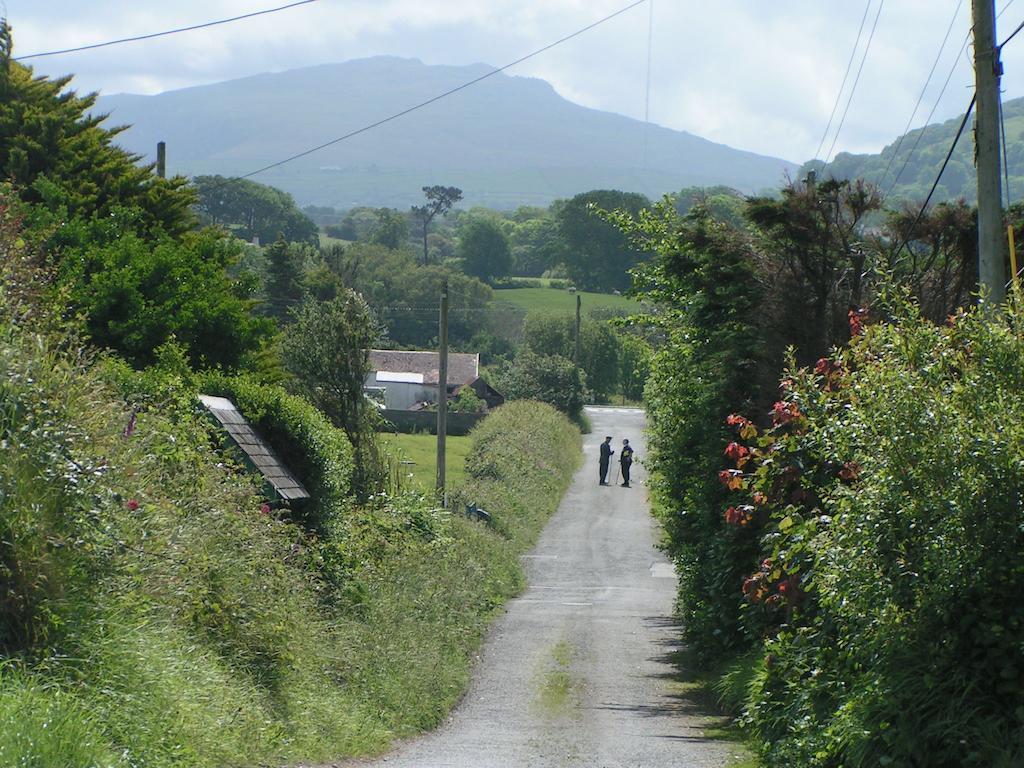 Pen Llyn Quarryman'S Cottage Trevor Eksteriør billede